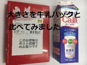 アスタリフトトライアルキットの箱はこのくらいの大きさです