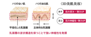 アテニアドレスリフトは３Ｄ美肌美容で肌の横の弾力と縦の弾力に着目