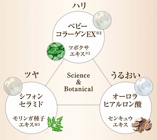 銀座ステファニー化粧品のクッションファンデに入っている美用成分