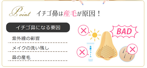 いちご鼻は産毛が原因全身脱毛専門エステストラッシュ