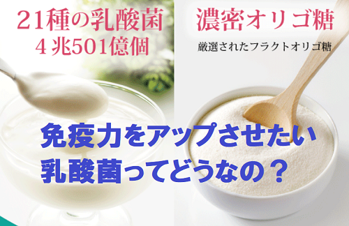 【デコつる】コロナ対策には乳酸菌で免疫力を上げると良いって聞いたけれど本当？